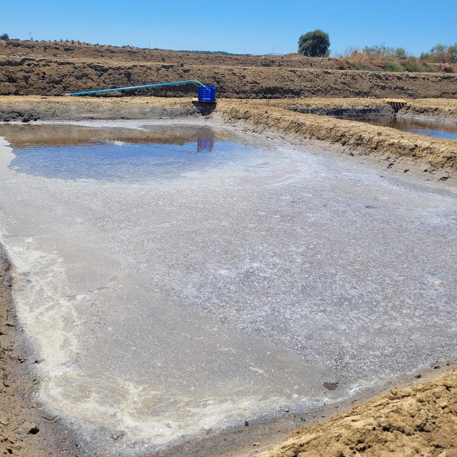 The white veil of flor de sal forming on the surface of a crystallisation pan, beside the pipe that feeds the água mãe.