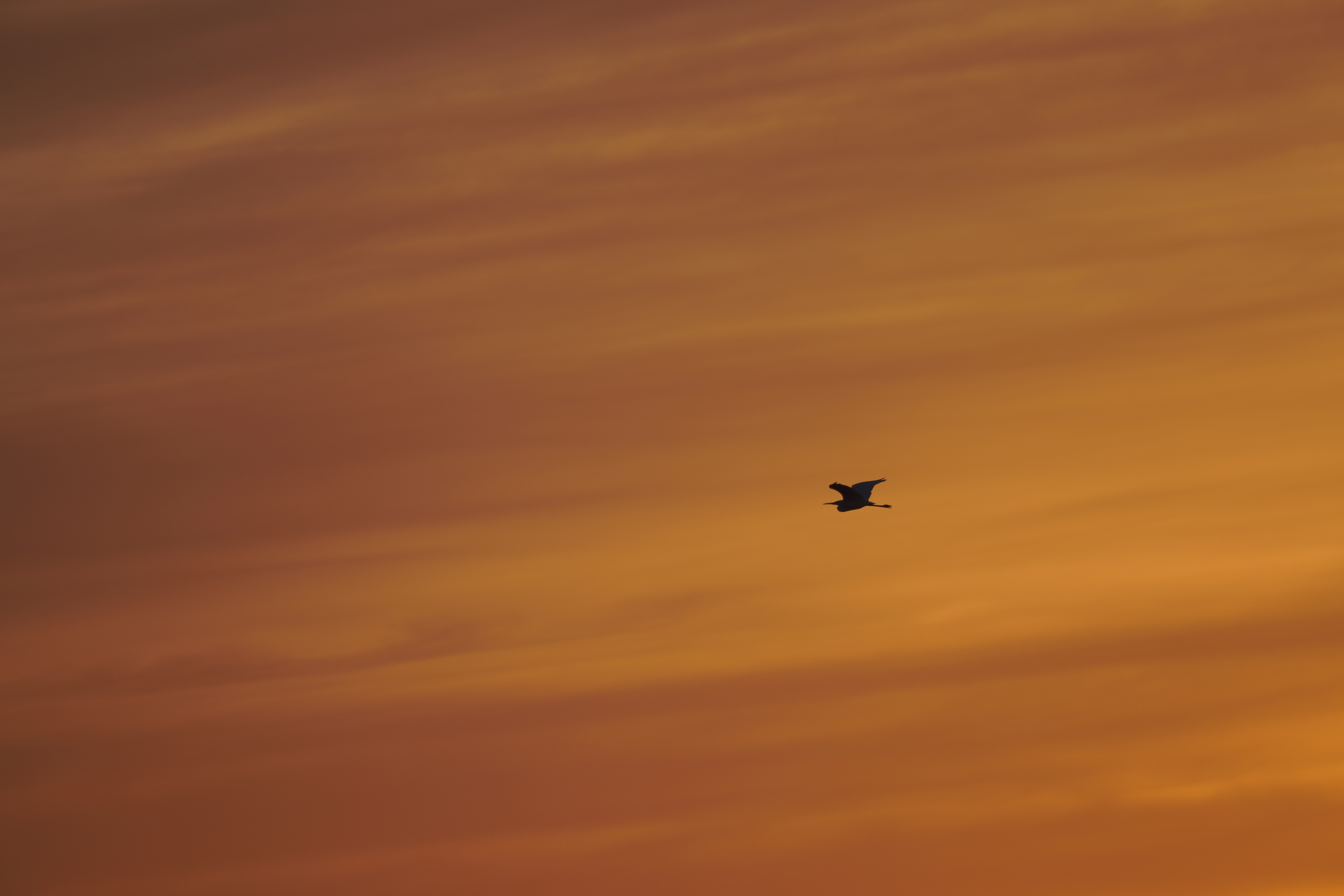 A heron in silhouette against a dusky pink-and-blue sunset sky above the Castro Marim salt pans.