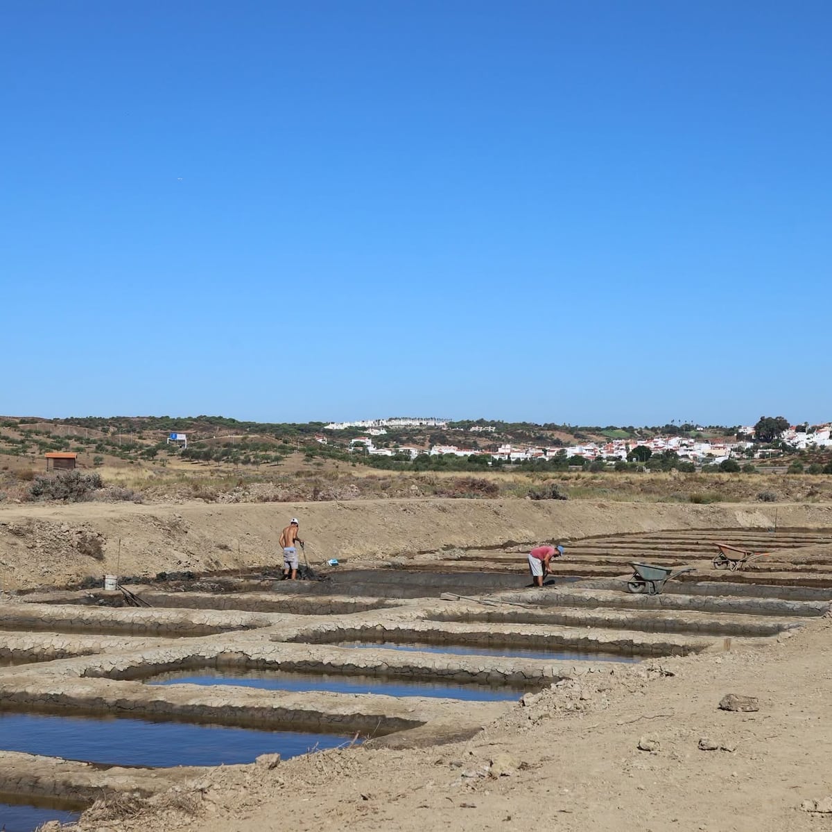 Two marnotos working a crystallisation pan at Venta Moinhos, Castro Marim on the horizon.